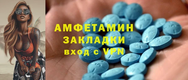 гидра Горняк