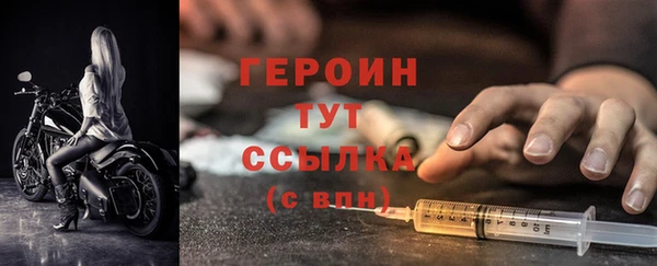 гидра Горняк
