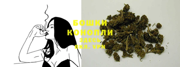 гидра Горняк
