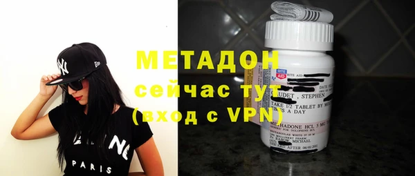 гидра Горняк