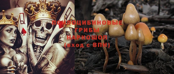 гидра Горняк