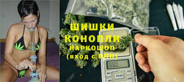 гидра Горняк