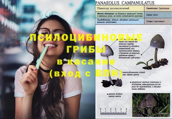 PSILOCYBIN Михайлов