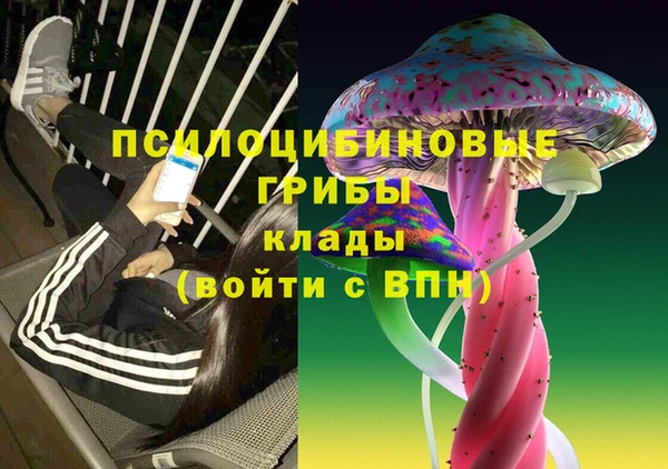 бутират Вяземский